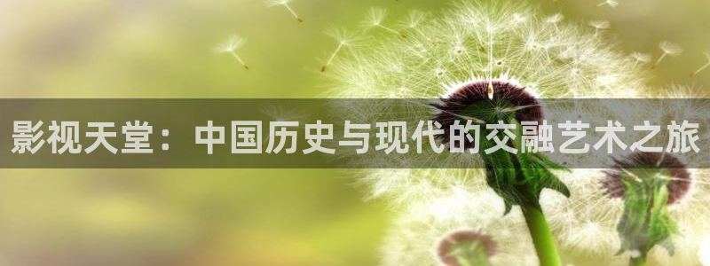 南瓜电影官网：影视天堂：中国历史与现代的交融艺术之旅