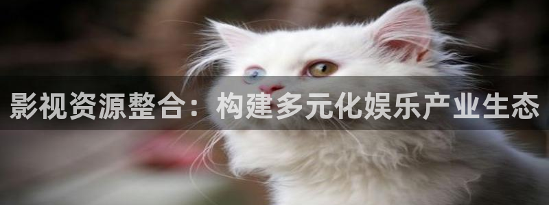 河北省南瓜：影视资源整合：构建多元化娱乐产业生态