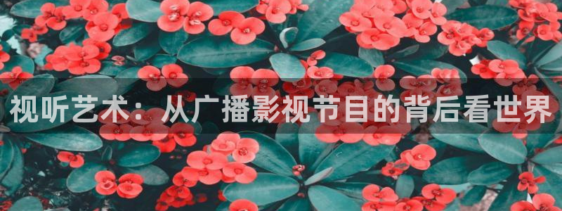 南瓜电子：视听艺术：从广播影视节目的背后看世界