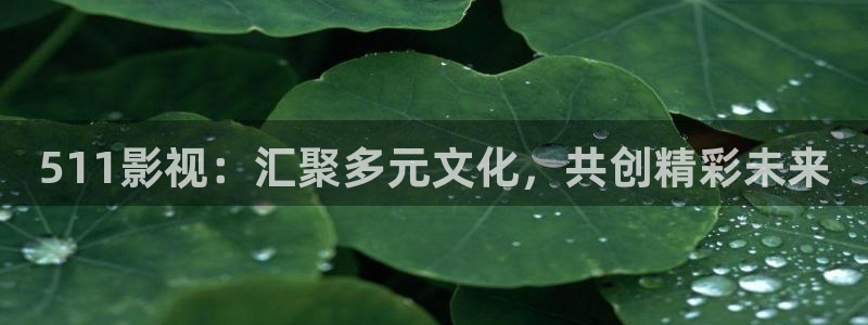 南瓜影视大全app：511影视：汇聚多元文化，共创精彩未来