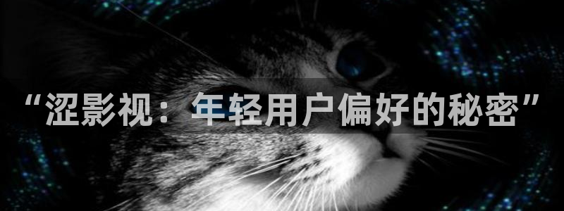 南瓜电影最新版本：“涩影视：年轻用户偏好的秘密”