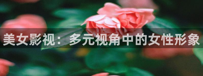 海南密南瓜：美女影视：多元视角中的女性形象