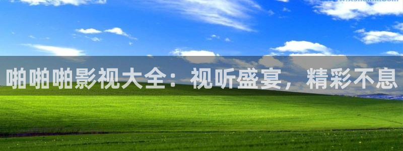南瓜山东：啪啪啪影视大全：视听盛宴，精彩不息